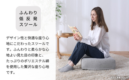 【ライトグレー】低反発スツール ニーノ ／ ゆったり デザイン マットレス オットマン [aw055-a011_03]