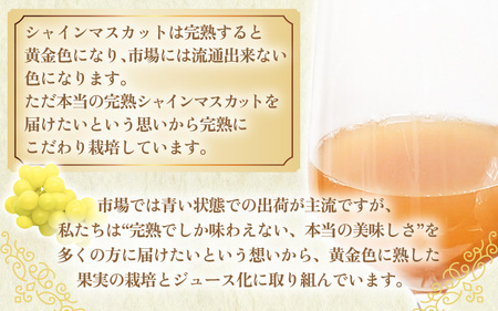 【訳あり】完熟シャインマスカットの極上ジュース「ゴールデンシャイン」150cc [aw007-a006]