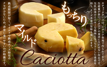 100％県産生乳！イタリア出身の職人が作るカチョッタチーズ2種（プレーン、サフランと黒胡椒） [aw128-a002]