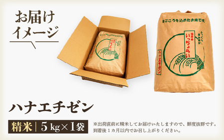 先行予約】【令和8年産・新米】【一等米】ハナエチゼン 精米 5kg ×1袋 