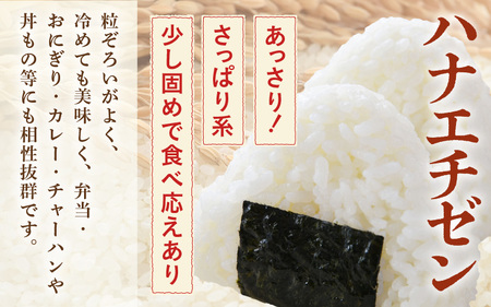 【先行予約】【令和8年産・新米】【一等米】＜定期便6回＞ ハナエチゼン 精米 5kg × 6回（30kg）《発送直前精米！》 ／ 福井県産 ブランド米 ご飯 白米 お米 コメ 新鮮 大賞 受賞 新米 福井県あわら産 ※2026年9月上旬以降順次発送予定 [aw012-f010]