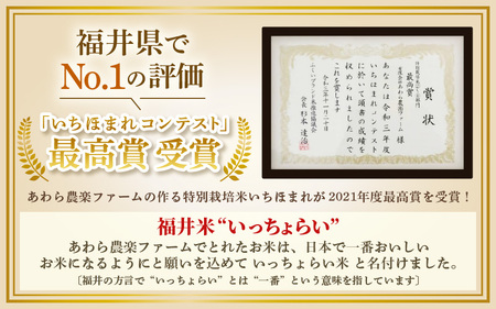 【先行予約】【令和8年産・新米】【一等米】＜定期便6回＞ ハナエチゼン 精米 5kg × 6回（30kg）《発送直前精米！》 ／ 福井県産 ブランド米 ご飯 白米 お米 コメ 新鮮 大賞 受賞 新米 福井県あわら産 ※2026年9月上旬以降順次発送予定 [aw012-f010]