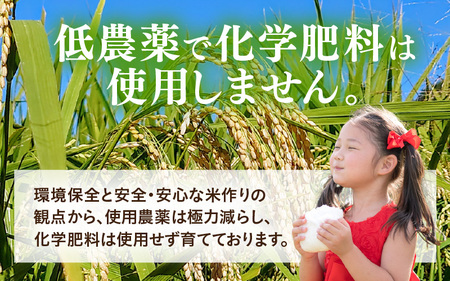【令和7年産】化学肥料不使用 ふくむすめ 精米 4kg（真空パック1kg×4袋） [aw010-a034]