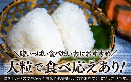 【令和7年産】化学肥料不使用 虹のきらめき 精米 4kg（真空パック1kg×4袋） [aw010-a037]