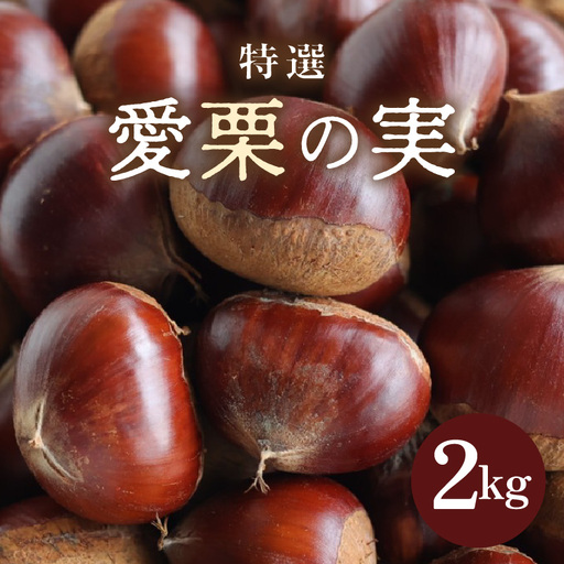 先行予約】《数量限定》愛栗の実 特選 2kg 新鮮 栗 甘栗 ※2026年9月