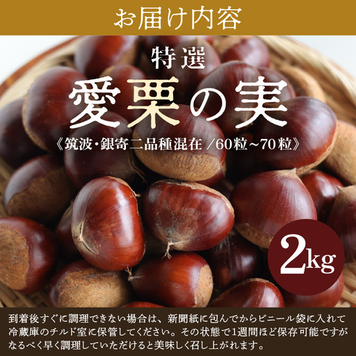 先行予約】《数量限定》愛栗の実 特選 2kg 新鮮 栗 甘栗 ※2026年9月