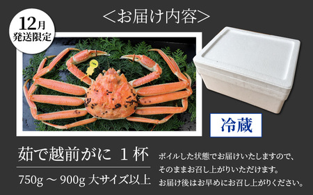 【12月発送限定】茹で越前がに 1杯 750g～900g（大サイズ以上）《新鮮！茹でたてを発送》／ 高級 福井 ブランド ズワイガニ 黄色タグ ボイル 冷蔵 蟹 カニ 期間限定【年内発送 12月23日受付まで】