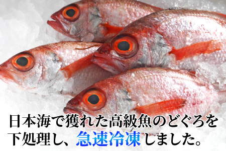 【真鯛の頭付き】煮てよし焼いてよし！ 日本海産のどぐろ 5パック ／  高級魚 ビール 煮魚 焼き魚 おつまみ 魚介類 海の幸 国産 個包装 お取り寄せ