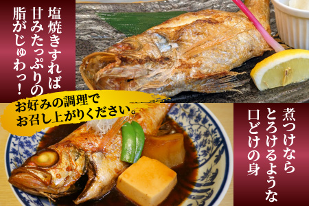 【真鯛の頭付き】煮てよし焼いてよし！ 日本海産のどぐろ 5パック ／  高級魚 ビール 煮魚 焼き魚 おつまみ 魚介類 海の幸 国産 個包装 お取り寄せ