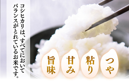 ☆新米☆送料、精米、小分け無料コシヒカリこだわり米冷蔵保管