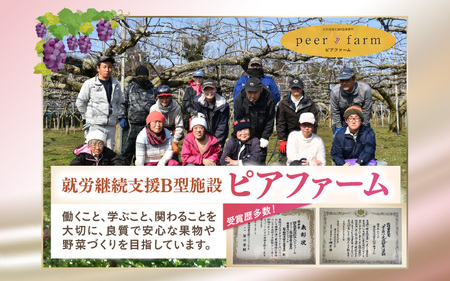 【福井県あわら市産】夢の果実直送便 梨ジュース（720ml×2本） / 梨 新興梨 ジュース 果物 フルーツ 果汁100 ギフト プレゼント 贈り物 [aw023-a002]