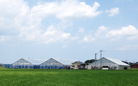 七色の味のトマトのジュース「金兵衛」（12本） [aw024-a001]