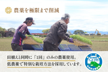 【令和6年産 新米】《定期便》5kg×3回 15kg 特別栽培米 あきさかり 無洗米 低農薬 《こだわり極上無洗米》 / 福井県 あわら 北陸 米 お米 人気