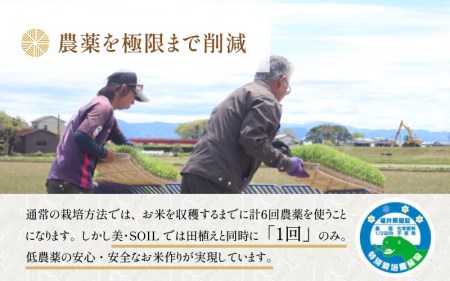 【先行予約】【令和6年産新米】《定期便》5kg×12回 60kg 特別栽培米 ミルキークイーン 無洗米 低農薬 《食味値85点以上！こだわり無洗米》 / 福井県 あわら市 北陸 米 お米 人気 白米 精米 ※2024年9月下旬以降順次発送予定