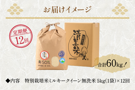 【先行予約】【令和6年産新米】《定期便》5kg×12回 60kg 特別栽培米 ミルキークイーン 無洗米 低農薬 《食味値85点以上！こだわり無洗米》 / 福井県 あわら市 北陸 米 お米 人気 白米 精米 ※2024年9月下旬以降順次発送予定