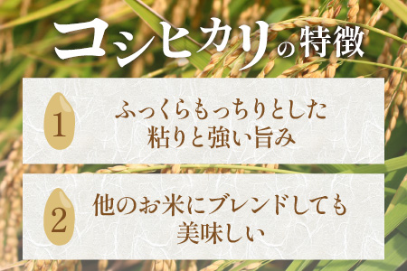 令和5年産】特別栽培米 コシヒカリ 10kg 無洗米 低農薬 《食味値85点