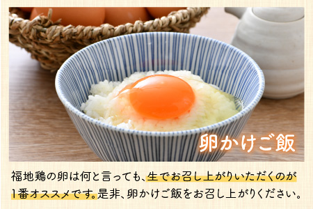 濃厚で甘くておいしい！ 福井ブランド「福地鶏」の卵 50個（25個入×2段）