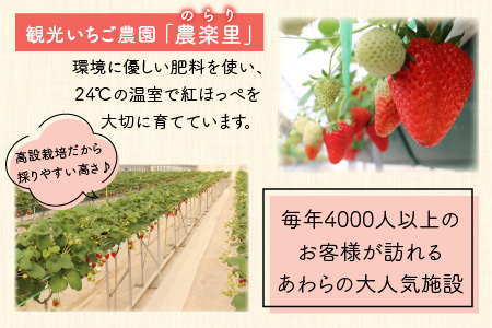 あわらの大人気 観光いちご農園「農楽里」で採れた「紅ほっぺ」のいちごジャム 140g×4瓶 