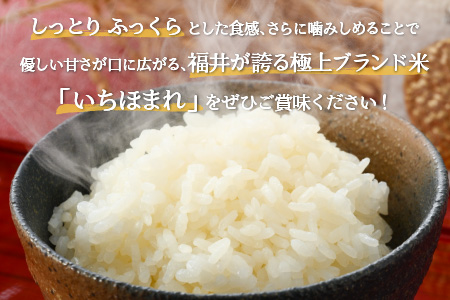 令和5年産】いちほまれ 特A 真空パック 精米 300g×6個 計1.8kg《ギフト