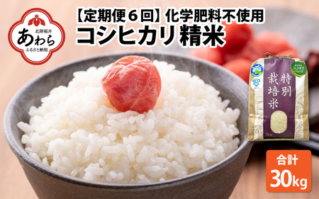 【令和5年産】【定期便6回】 化学肥料不使用コシヒカリ 精米 5kg×6回  / 白米 米 福井県あわら市産 美味しい 特別栽培米 減農薬 安心な米 旨味 甘み もっちり エコファーマー こしひかり 冷蔵保管米