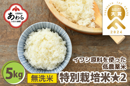 令和5年産】 特別栽培米 コシヒカリ 無洗米 5kg 低農薬 / 北陸 福井県