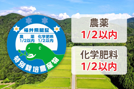 【令和5年産】 特別栽培米 コシヒカリ 無洗米 5kg 低農薬 / 北陸 福井県産 あわら市 ブランド米 白米 お米 コメ 特栽米