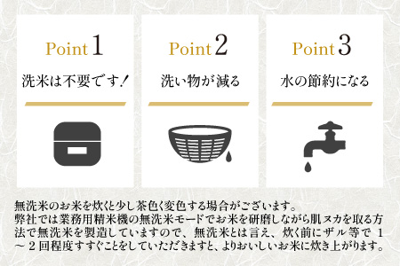 令和5年産】真空パックキューブ米4種 300g×16個 低農薬 特別栽培米