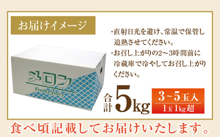 【先行予約】マルセイユメロン 3～5玉入「ユメマル」5kg《とろけるような食感！》／ 果物 フルーツ 赤肉 メロン 濃厚 果肉 産地直送 あわら 大賞 受賞  ※2026年6月中旬より順次発送 [aw012-a025]