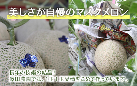 【先行予約】青肉マスクメロン（1.5kg以上 2玉入）味も見た目も抜群！アールスメロン  / あわら 期間限定 果物 フルーツ 産地直送 青肉 人気 ギフト 贈答 ※2026年7月上旬より順次発送  [aw039-a005]