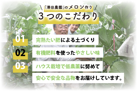 先行予約】青肉マスクメロン（1.5kg以上 2玉入）味も見た目も抜群