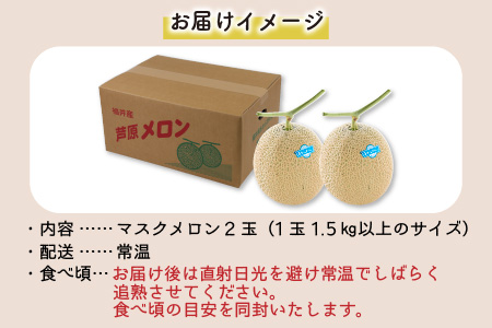 先行予約】青肉マスクメロン（1.5kg以上 2玉入）味も見た目も抜群