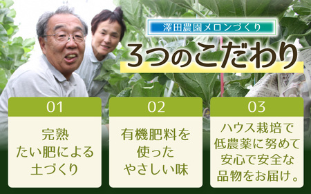 【先行予約】マスクメロン 青肉・赤肉 2色セット（1.5kg以上 2玉入）食べ比べお楽しみ！アールスメロン ／ あわら 期間限定 果物 フルーツ 産地直送 人気 甘い ※2026年7月上旬より順次発送 [aw039-a006]