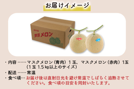 先行予約】マスクメロン 青肉・赤肉 2色セット（1.5kg以上 2玉入）食べ