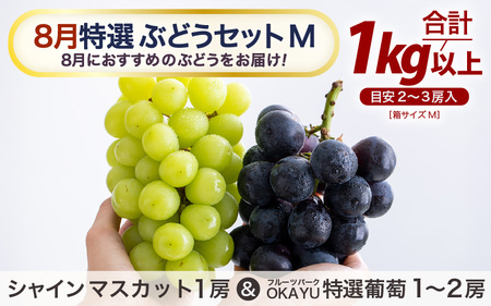 先行予約】8月特選 ぶどうセットM 1kg以上（2～3房）／ 葡萄 シャイン