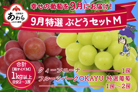 先行予約】9月特選 ぶどうセットM 1kg以上（2～3房）／ 葡萄 クイーン