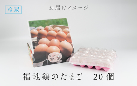 濃厚で甘くておいしい！ 福井ブランド「福地鶏」の卵 20個（10個入×2パック）