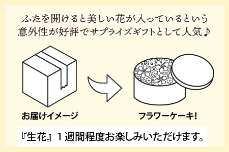 ふるさと納税 花屋がつくったフラワーケーキ L ／ 誕生日 母の日 父の