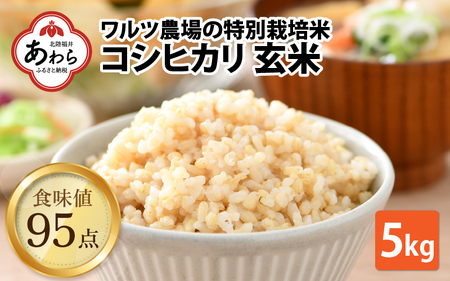 先行予約】【令和6年産】ワルツ農場のコシヒカリ 玄米 5kg 特別栽培米【驚きの食味値95点！納得の美味しさ】減農薬 有機肥料使用 / かにから こしひかり お米 ご飯 つや 艶 甘味 旨み あわら市 米の王様 こしひかり ブランド米 北陸 あわら市産 福井県産 ※2024年9月下旬 ...