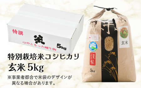 先行予約】【令和6年産】ワルツ農場のコシヒカリ 玄米 5kg 特別栽培米【驚きの食味値95点！納得の美味しさ】減農薬 有機肥料使用 / かにから こしひかり お米 ご飯 つや 艶 甘味 旨み あわら市 米の王様 こしひかり ブランド米 北陸 あわら市産 福井県産 ※2024年9月下旬 ...