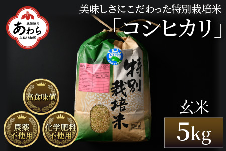 令和5年産】コシヒカリ 玄米 5kg 特別栽培米 農薬不使用 化学肥料不