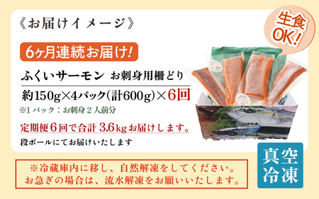 《定期便6回》ふくいサーモン 柵どり 150g×4パック 計600g ＜鮮度抜群！真空冷凍＞ ／ 生食OK 刺身 鮭 国産 [aw002-k001]