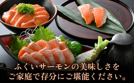 《定期便12回》ふくいサーモン 柵どり 150g×4パック 計600g ＜鮮度抜群！真空冷凍＞ ／ 生食OK 刺身 鮭 国産 [aw002-o001]