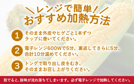 【先行予約】秋とうもろこし 5本 おおもの 黄色 朝採り ／ 期間限定 数量限定 ハウス栽培 産地直送 甘い スイートコーン とうもろこし 野菜 あわら ※2026年10月10日より順次発送 [aw039-a013]