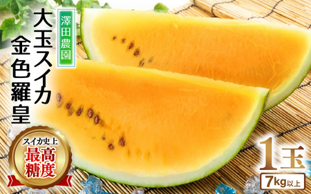 羅皇産 大玉スイカ 2個セット 先行予約】大玉スイカ『金色羅皇』（7kg以上 1玉入） スイカ史上