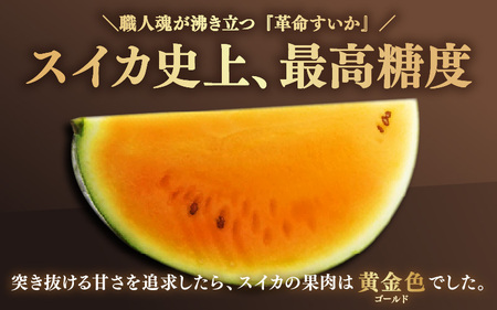 先行予約】大玉スイカ『金色羅皇』（7kg以上 1玉入） スイカ史上