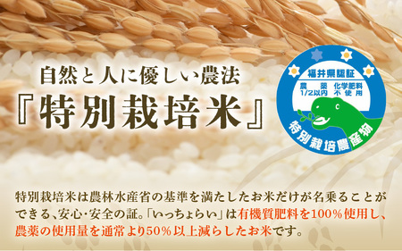 【令和7年産・新米】【一等米】特別栽培米 いっちょらい 精米 5kg ／福井県産 ブランド米 コシヒカリ ご飯 白米 新鮮 大賞 受賞 [aw012-a022]