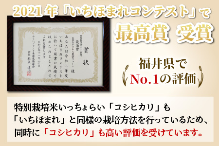 【令和6年産 新米】【一等米】《定期便6回》特別栽培米 いっちょらい 精米 5kg（計30kg）／ 福井県産 ブランド米 コシヒカリ ご飯 白米 新鮮 大賞 受賞