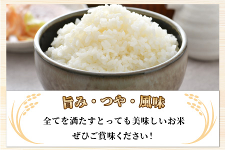 【令和6年産 新米】【一等米】《定期便6回》特別栽培米 いっちょらい 精米 5kg（計30kg）／ 福井県産 ブランド米 コシヒカリ ご飯 白米 新鮮 大賞 受賞