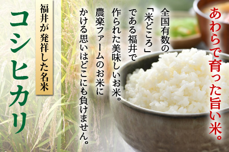 令和5年産】《定期便6回》いっちょらい 精米 5kg（計30kg）／ 福井県産