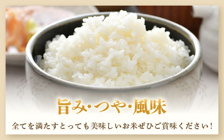 【令和7年産・新米】【一等米】《定期便12回》いっちょらい 精米 5kg × 12回（計60kg）／ 福井県産 ブランド米 コシヒカリ ご飯 白米 新鮮 大賞 受賞 新米 福井県あわら産 [aw012-l002]